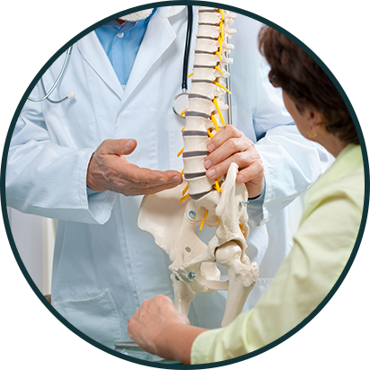 Image of a doctor gesturing towards a spine model