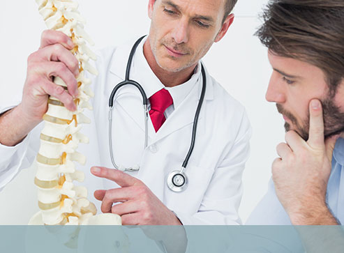 Image of a doctor holding a spine model